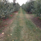 Samascott Orchards