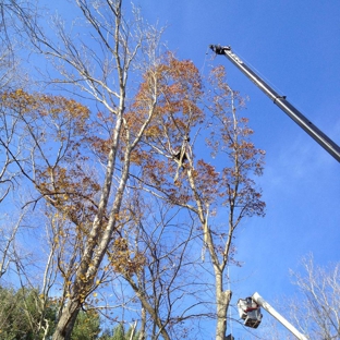 Eastern Tree Experts LLC - Guilford, CT