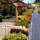 U & D Nursery Inc - Nurseries-Plants & Trees