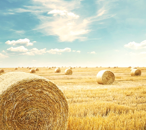 GMG Financial Group - Swan Hill, VIC. We consistently work as a committed team with our clients.