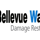 Bellevue Water Fire Damage Pros - Carpet & Rug Repair