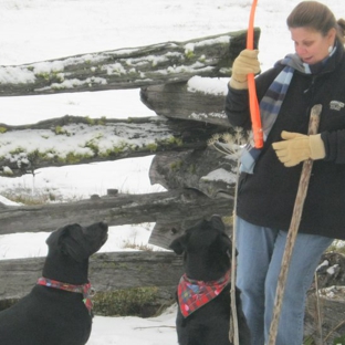 Black Dog Walking and Animal Care - Antioch, CA