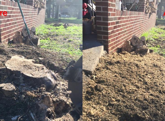 Grinderz Stump Grinding - Rome, GA