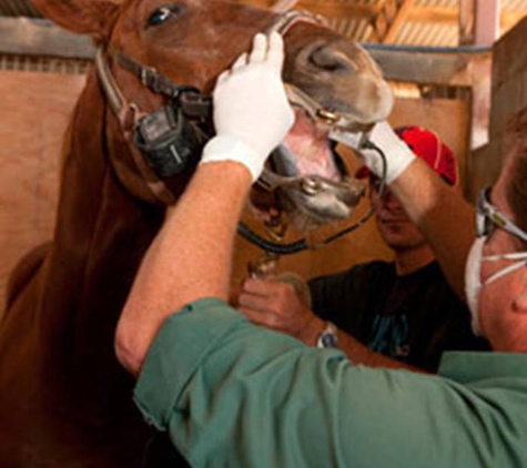Allora Veterinary Clinic - Allora, QLD