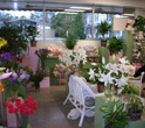 Basket Tree Florist - Apex, NC