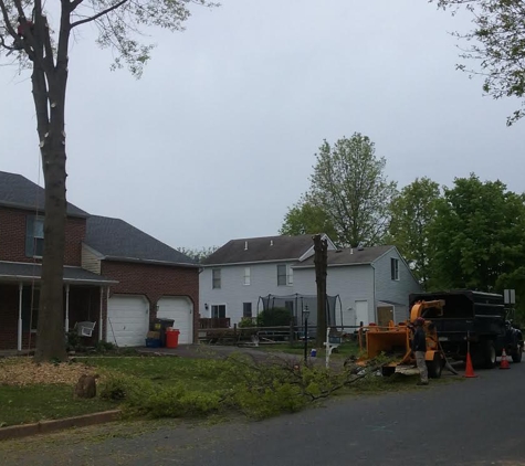 Phoenixville Tree Service - Collegeville, PA