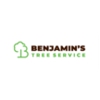 Benjamin's Tree Service gallery