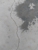 Crusoe Concreting - Concrete Contractors