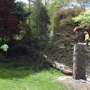 Jt's Tree Service - Tree Service