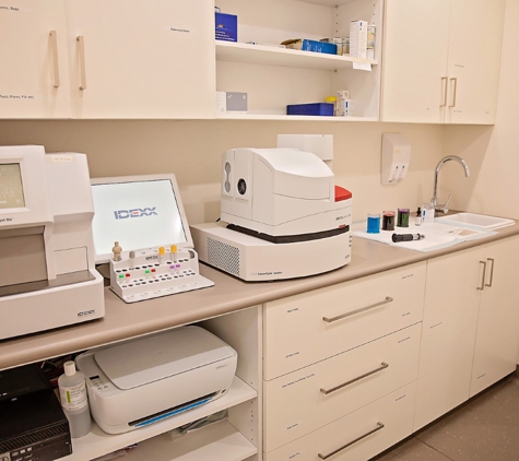 Blue Lake Veterinary Clinic - Mount Gambier, SA