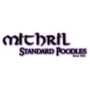 Mithril Standard Poodles - Pet Breeders