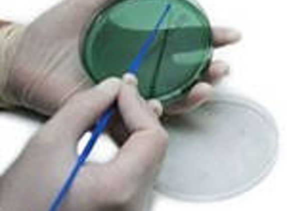 Diagnostic Services Pty Ltd - Battery Point, TAS