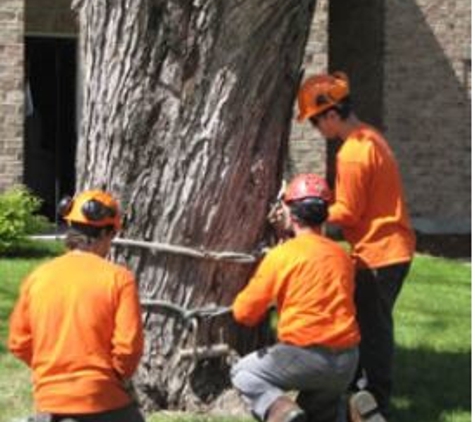 Foley's Tree Service - Tomahawk, WI