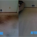 Mr Steam Carpet Cleaning - Carpet & Rug Cleaners