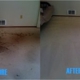 Mr Steam Carpet Cleaning