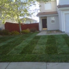 Lawn Pro Solutions