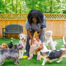 Trinity Animal Hospital - Veterinarians