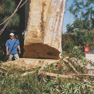 Ken Bojok Tree Service