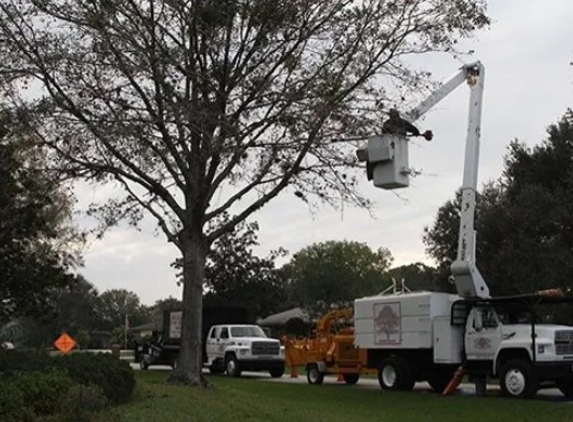 Quality  Tree Experts Inc - Malabar, FL