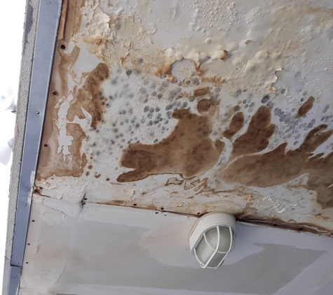 Capri Apartments - Boulder City, NV. BLACK MOLD in garages