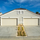 Olive Tree Apartment Homes - Apartments
