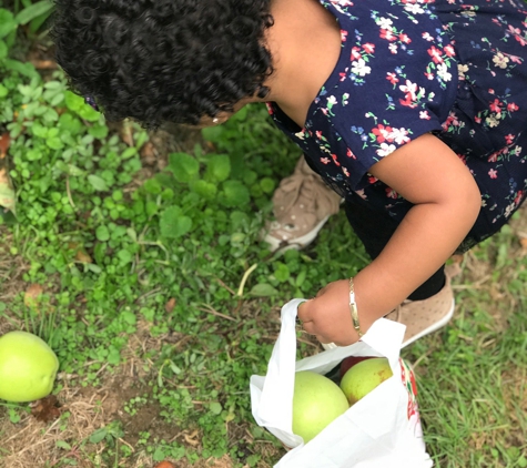 Harbes Orchard - Riverhead, NY