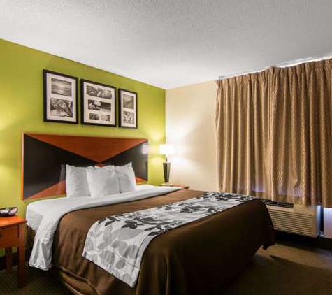 Sleep Inn & Suites near Fort Gregg-Adams - Prince George, VA