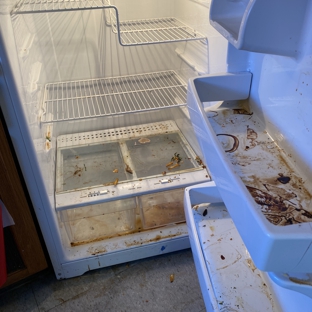 Presto Cleaning - San Diego, CA. Fridge Before