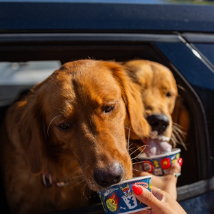 Dutch Bros Coffee - Vacaville, CA