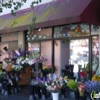 Grand Flowers and Flower for Joy gallery