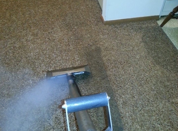 Wolverine Professional Carpet and Furniture Cleaning - Ann Arbor, MI