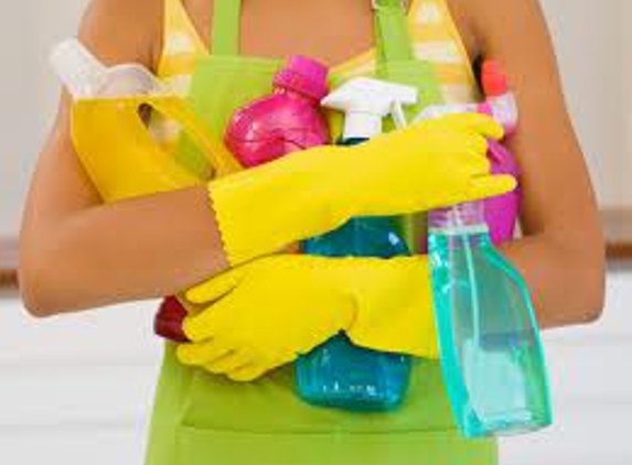 IM YOUR GIRL HOUSEHOLD SERVICE Residential and Vacation rental home cleaning - Palm Springs, CA