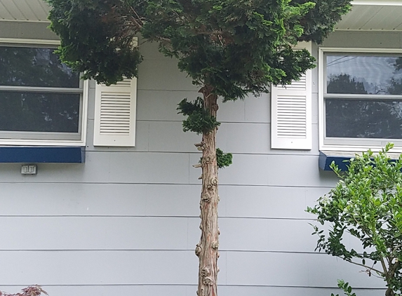 Elite Tree Removal & Landscaping - Toms River, NJ