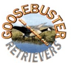 Goosebuster Retrievers