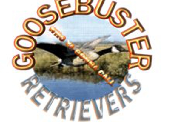 Goosebuster Retrievers - New Plymouth, ID