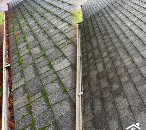 SAFE Roof Cleaning Moss Removal and Gutter Cleaning