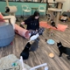 Purrfect Day Cat Cafe