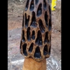 Carve2 gallery