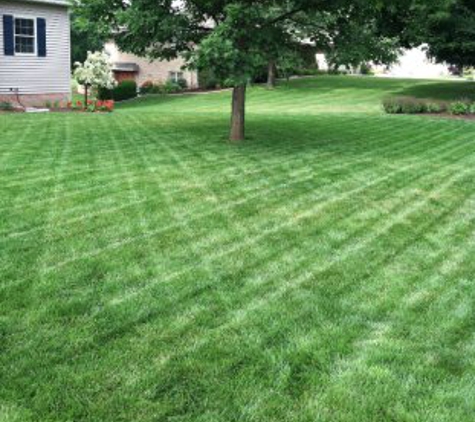 Greener Grass Organic Lawn & Pest - Canton, OH