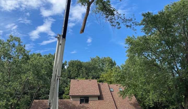 Miller Tree Service - Hastings, MN