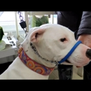 SafeCalm Dog Training Collars & Dog Training/Whispering - Dog & Cat Furnishings & Supplies