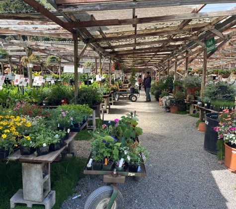 Half Moon Bay Nursery - Half Moon Bay, CA