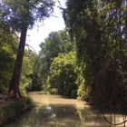 Medina River Natural Area