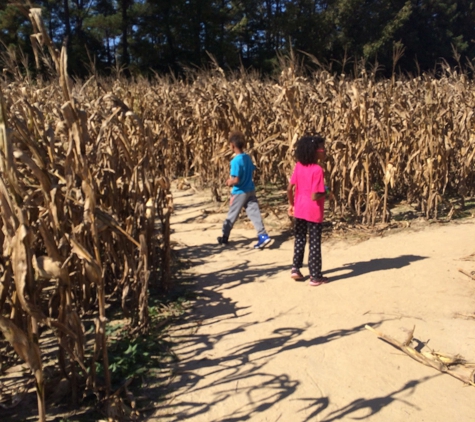 Phillips Farms of Cary - Cary, NC