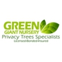 GREEN GIANT NURSERY LLC