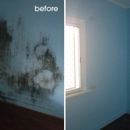 Green Home Solutions - Mold Remediation