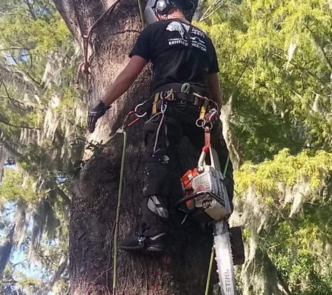 Kats Tree Service - Edgewater, FL