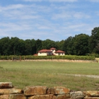 Morgan Ridge Vineyards