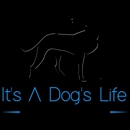It's a Dog's Life - Pet Grooming