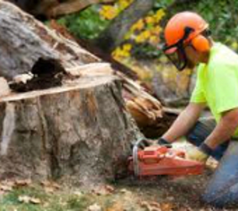 C Nicols Tree Service - Conneaut Lake, PA